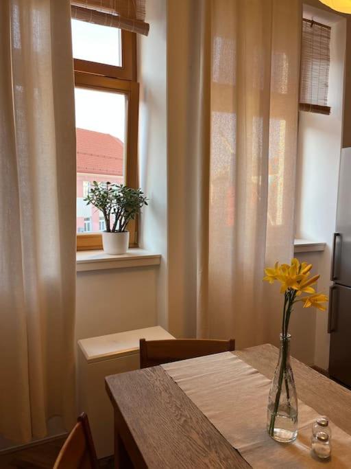Apartman Pod Valdickou Branou Їчін Екстер'єр фото